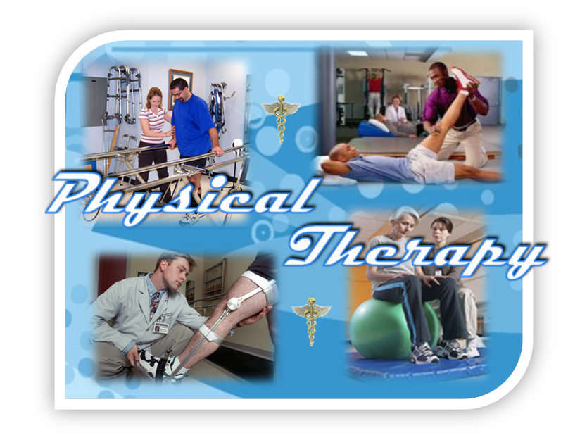 Physical Therapy by Z.A. Maxfield